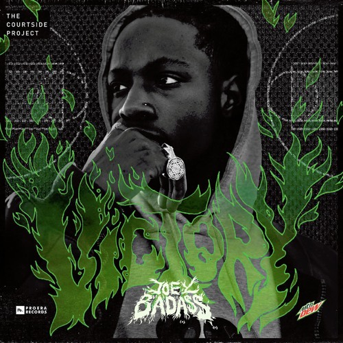 JOEY BADA$$ - VICTORY