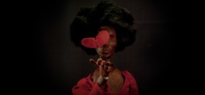 TRAILER AN OVERSIMPLIFICATION OF HER BEAUTY